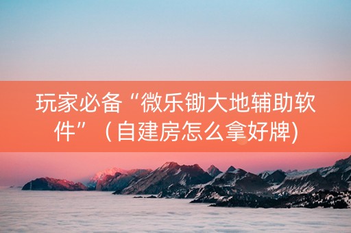 玩家必备“微乐锄大地辅助软件”（自建房怎么拿好牌)