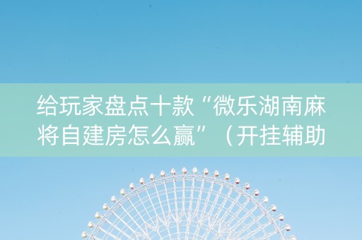 给玩家盘点十款“微乐湖南麻将自建房怎么赢”（开挂辅助脚本)