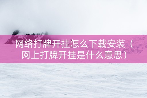 网络打牌开挂怎么下载安装（网上打牌开挂是什么意思）