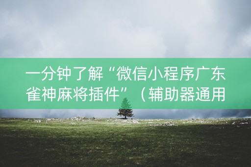 一分钟了解“微信小程序广东雀神麻将插件”（辅助器通用版)