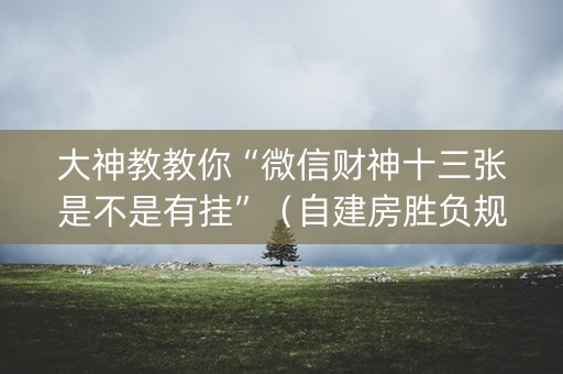 大神教教你“微信财神十三张是不是有挂”（自建房胜负规律)