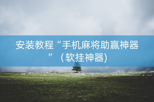 安装教程“手机麻将助赢神器”（软挂神器)