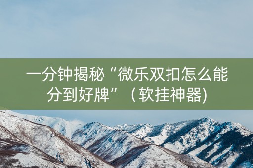 一分钟揭秘“微乐双扣怎么能分到好牌”（软挂神器)