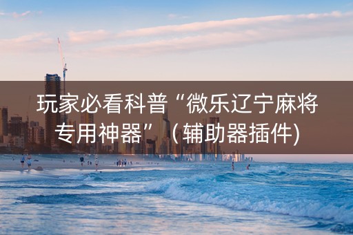 玩家必看科普“微乐辽宁麻将专用神器”（辅助器插件)