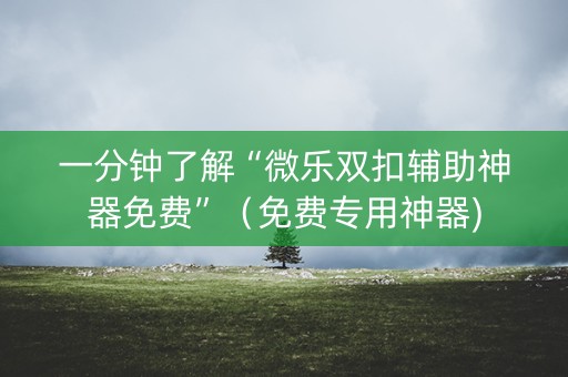 一分钟了解“微乐双扣辅助神器免费”（免费专用神器)