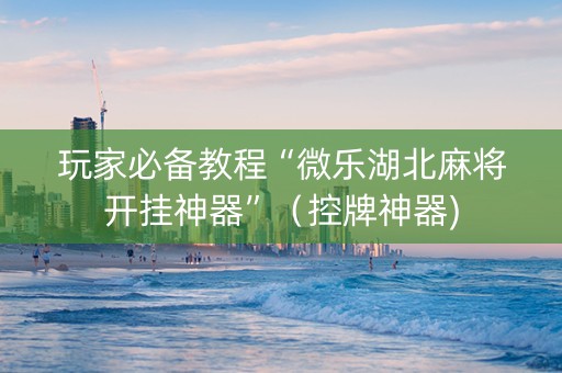 玩家必备教程“微乐湖北麻将开挂神器”（控牌神器)
