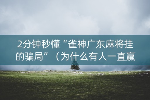 2分钟秒懂“雀神广东麻将挂的骗局”（为什么有人一直赢)
