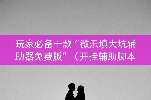 玩家必备十款“微乐填大坑辅助器免费版”（开挂辅助脚本)