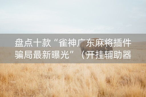 盘点十款“雀神广东麻将插件骗局最新曝光”（开挂辅助器插件)