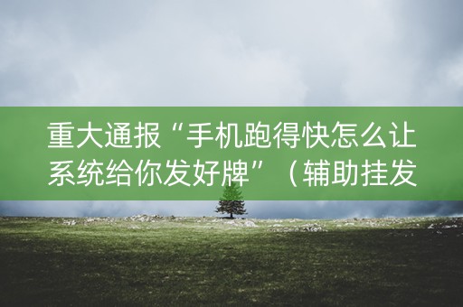 重大通报“手机跑得快怎么让系统给你发好牌”（辅助挂发牌规律)