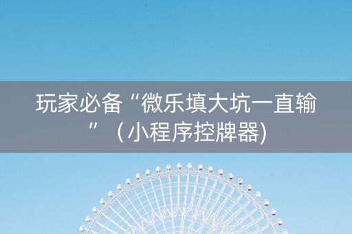 玩家必备“微乐填大坑一直输”（小程序控牌器)