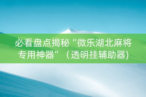 必看盘点揭秘“微乐湖北麻将专用神器”（透明挂辅助器)
