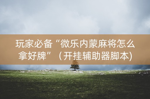 玩家必备“微乐内蒙麻将怎么拿好牌”（开挂辅助器脚本)