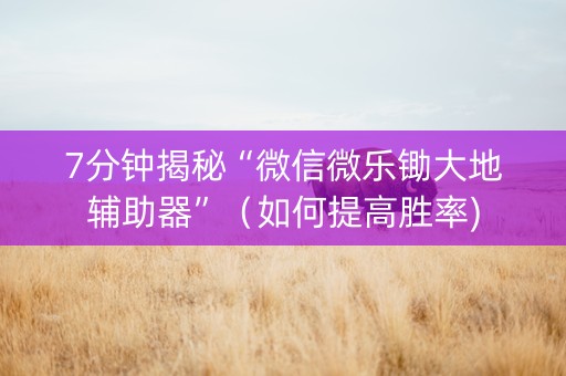 7分钟揭秘“微信微乐锄大地辅助器”（如何提高胜率)