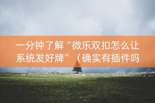 一分钟了解“微乐双扣怎么让系统发好牌”（确实有插件吗)