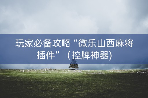 玩家必备攻略“微乐山西麻将插件”（控牌神器)