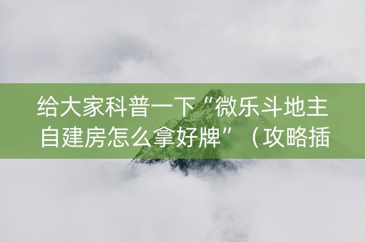 给大家科普一下“微乐斗地主自建房怎么拿好牌”（攻略插件)