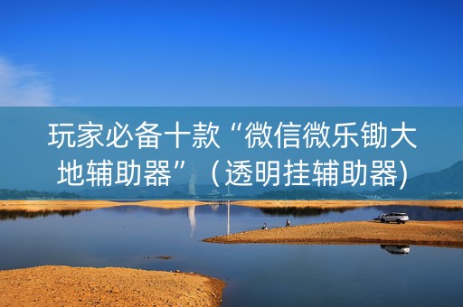 玩家必备十款“微信微乐锄大地辅助器”（透明挂辅助器)