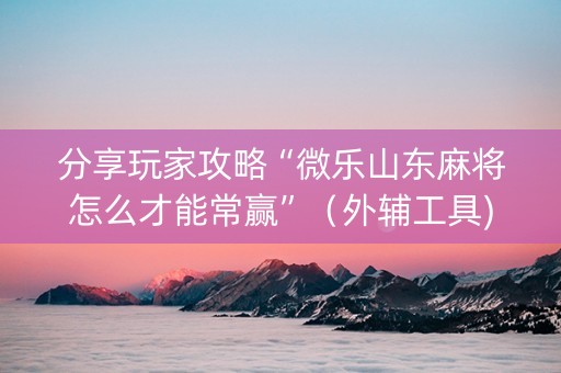 分享玩家攻略“微乐山东麻将怎么才能常赢”（外辅工具)