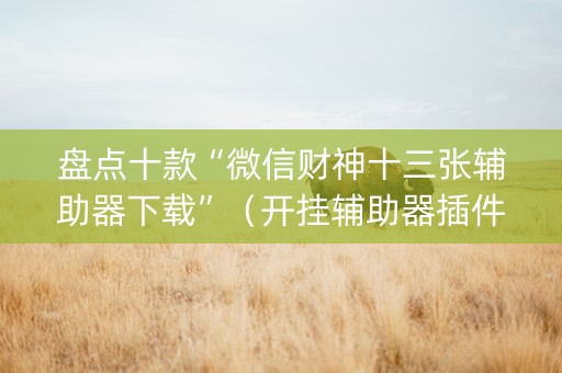 盘点十款“微信财神十三张辅助器下载”（开挂辅助器插件)