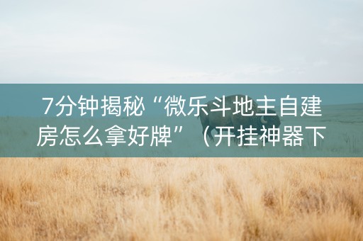 7分钟揭秘“微乐斗地主自建房怎么拿好牌”（开挂神器下载)