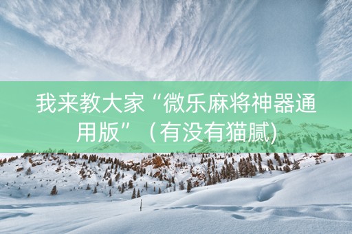 我来教大家“微乐麻将神器通用版”（有没有猫腻)