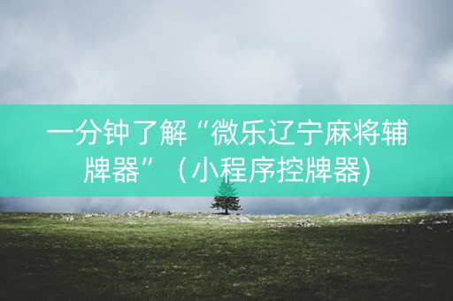 一分钟了解“微乐辽宁麻将辅牌器”（小程序控牌器)