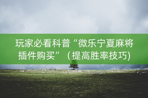玩家必看科普“微乐宁夏麻将插件购买”（提高胜率技巧)