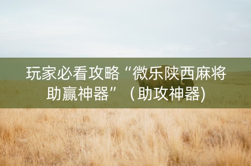 玩家必看攻略“微乐陕西麻将助赢神器”（助攻神器)
