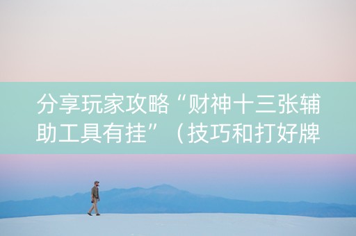 分享玩家攻略“财神十三张辅助工具有挂”（技巧和打好牌方法)