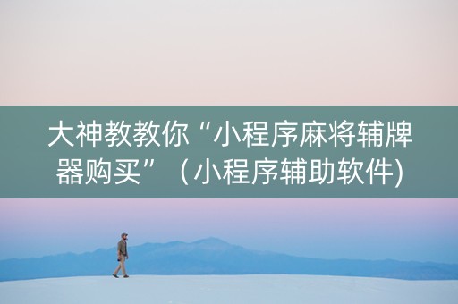 大神教教你“小程序麻将辅牌器购买”（小程序辅助软件)