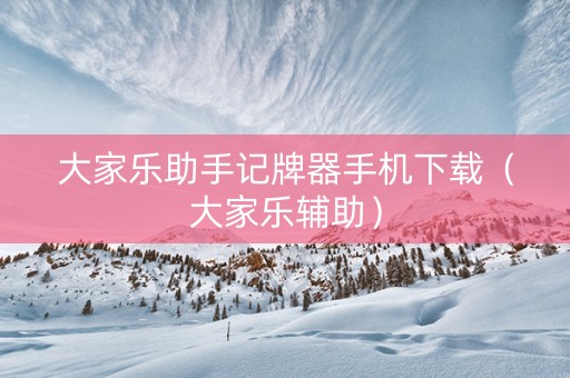 大家乐助手记牌器手机下载（大家乐辅助）