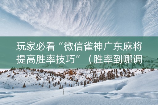 玩家必看“微信雀神广东麻将提高胜率技巧”（胜率到哪调)