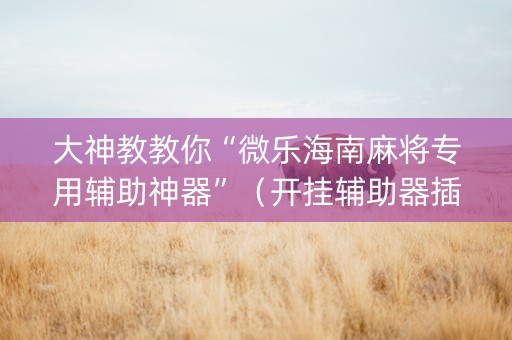 大神教教你“微乐海南麻将专用辅助神器”（开挂辅助器插件)