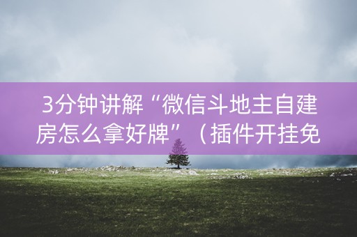 3分钟讲解“微信斗地主自建房怎么拿好牌”（插件开挂免费AI)