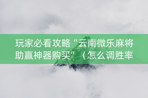 玩家必看攻略“云南微乐麻将助赢神器购买”（怎么调胜率)