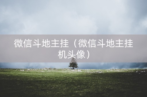 微信斗地主挂（微信斗地主挂机头像）