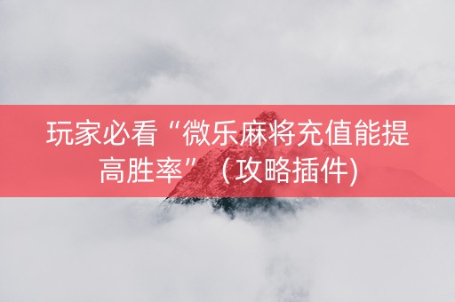 玩家必看“微乐麻将充值能提高胜率”（攻略插件)