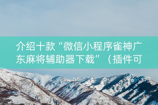 介绍十款“微信小程序雀神广东麻将辅助器下载”（插件可信吗)