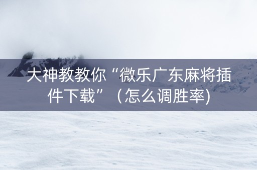 大神教教你“微乐广东麻将插件下载”（怎么调胜率)