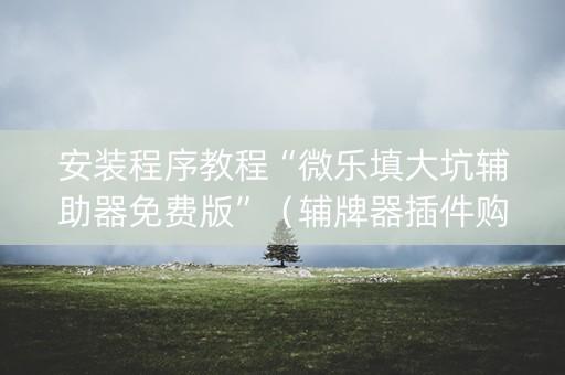 安装程序教程“微乐填大坑辅助器免费版”（辅牌器插件购买)