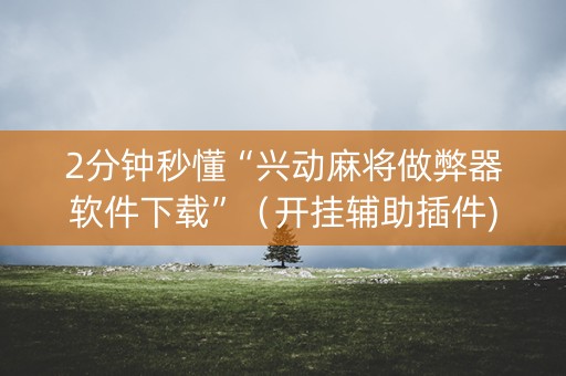 2分钟秒懂“兴动麻将做弊器软件下载”（开挂辅助插件)