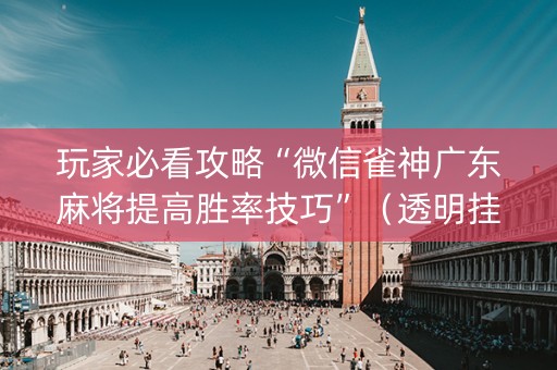 玩家必看攻略“微信雀神广东麻将提高胜率技巧”（透明挂辅助器)