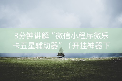 3分钟讲解“微信小程序微乐卡五星辅助器”（开挂神器下载)