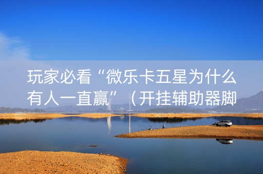 玩家必看“微乐卡五星为什么有人一直赢”（开挂辅助器脚本)