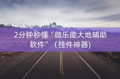 2分钟秒懂“微乐锄大地辅助软件”（挂件神器)