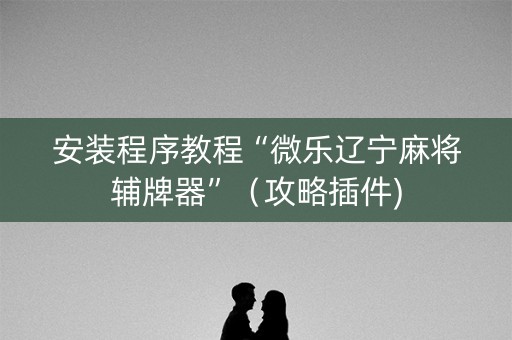 安装程序教程“微乐辽宁麻将辅牌器”（攻略插件)