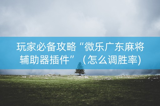 玩家必备攻略“微乐广东麻将辅助器插件”（怎么调胜率)