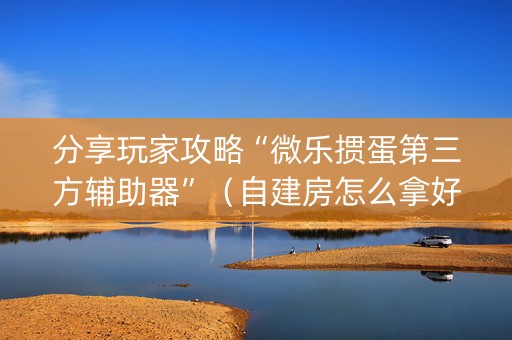 分享玩家攻略“微乐掼蛋第三方辅助器”（自建房怎么拿好牌)