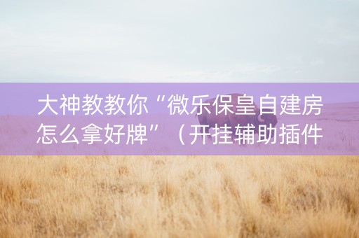 大神教教你“微乐保皇自建房怎么拿好牌”（开挂辅助插件)